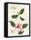 Dianne's Camellias III-Dianne Miller-Framed Stretched Canvas