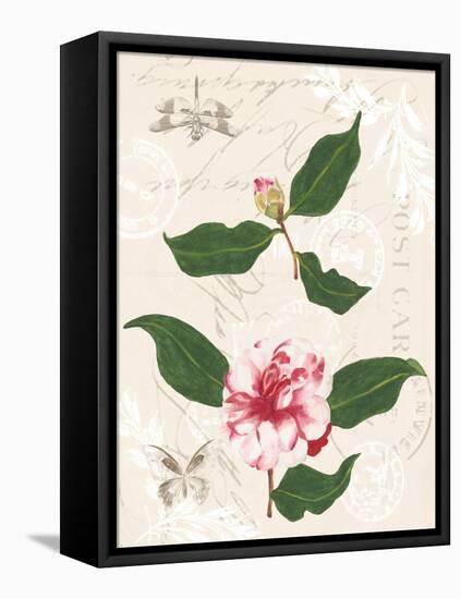 Dianne's Camellias III-Dianne Miller-Framed Stretched Canvas