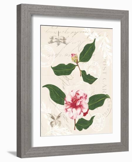 Dianne's Camellias III-Dianne Miller-Framed Art Print