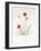 Dianthus Caesar's Mantle, 1997-Alison Cooper-Framed Giclee Print