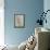 Dianthus Doris-Karen Armitage-Framed Premier Image Canvas displayed on a wall