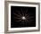 Diatom Alga, SEM-Steve Gschmeissner-Framed Photographic Print