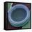 Diatom, SEM-Steve Gschmeissner-Framed Premier Image Canvas