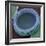 Diatom, SEM-Steve Gschmeissner-Framed Premium Photographic Print