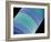 Diatom, SEM-Steve Gschmeissner-Framed Photographic Print