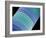 Diatom, SEM-Steve Gschmeissner-Framed Photographic Print