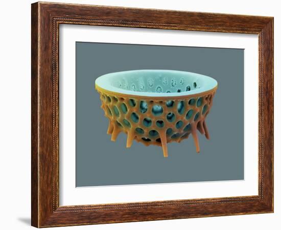 Diatom, SEM-David McCarthy-Framed Photographic Print