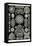 Diatoms-Ernst Haeckel-Framed Stretched Canvas