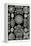 Diatoms-Ernst Haeckel-Framed Stretched Canvas