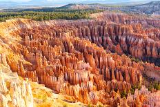 Amphitheater from Inspiration Point at Sunrise, Bryce Canyon National Park, Utah, USA-Dibrova-Photographic Print