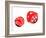 Dice, Artwork-Victor De Schwanberg-Framed Photographic Print