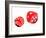 Dice, Artwork-Victor De Schwanberg-Framed Photographic Print