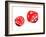 Dice, Artwork-Victor De Schwanberg-Framed Photographic Print