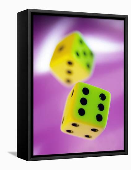 Dice-Tek Image-Framed Premier Image Canvas