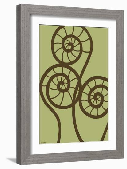 Dichromatic Fiddleheads II-Vanna Lam-Framed Art Print