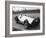 Dick Seaman's Mercedes, Donington Grand Prix, 1938-null-Framed Photographic Print