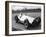 Dick Seaman's Mercedes, Donington Grand Prix, 1938-null-Framed Photographic Print