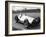 Dick Seaman's Mercedes, Donington Grand Prix, 1938-null-Framed Photographic Print