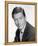 Dick Van Dyke, The Dick Van Dyke Show (1961)-null-Framed Stretched Canvas