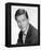 Dick Van Dyke, The Dick Van Dyke Show (1961)-null-Framed Stretched Canvas