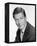 Dick Van Dyke, The Dick Van Dyke Show (1961)-null-Framed Stretched Canvas