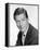 Dick Van Dyke, The Dick Van Dyke Show (1961)-null-Framed Stretched Canvas