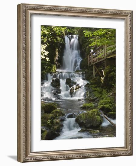 Dickson Falls in Fundy National Park, New Brunswick, Canada, North America-Michael DeFreitas-Framed Photographic Print
