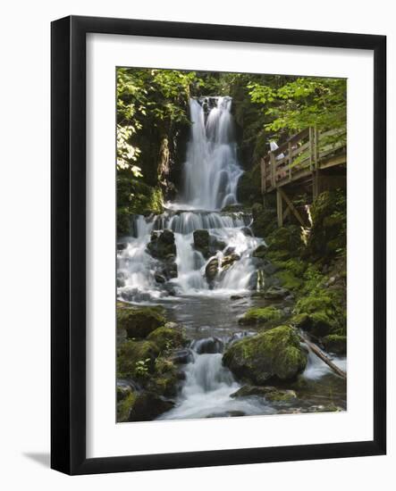 Dickson Falls in Fundy National Park, New Brunswick, Canada, North America-Michael DeFreitas-Framed Photographic Print