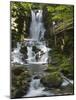 Dickson Falls in Fundy National Park, New Brunswick, Canada, North America-Michael DeFreitas-Mounted Photographic Print