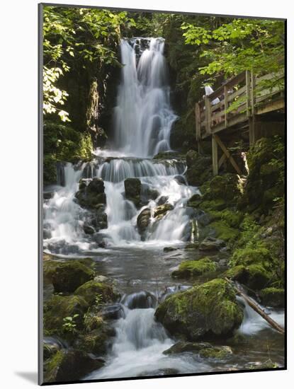 Dickson Falls in Fundy National Park, New Brunswick, Canada, North America-Michael DeFreitas-Mounted Photographic Print
