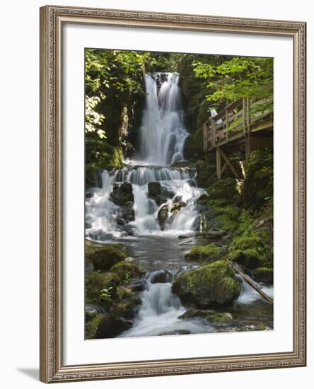 Dickson Falls in Fundy National Park, New Brunswick, Canada, North America-Michael DeFreitas-Framed Photographic Print