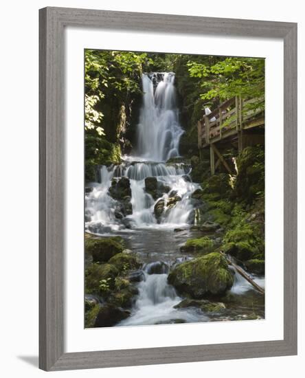 Dickson Falls in Fundy National Park, New Brunswick, Canada, North America-Michael DeFreitas-Framed Photographic Print