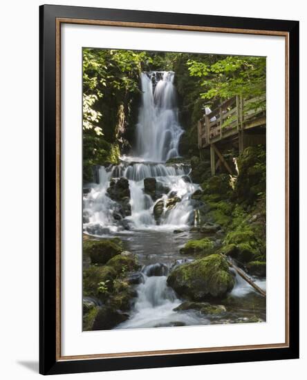 Dickson Falls in Fundy National Park, New Brunswick, Canada, North America-Michael DeFreitas-Framed Photographic Print