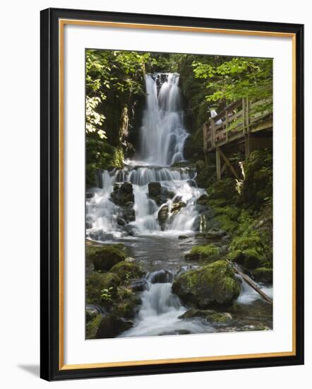 Dickson Falls in Fundy National Park, New Brunswick, Canada, North America-Michael DeFreitas-Framed Photographic Print