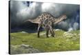 Stretched Canvas Print