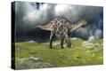 Stretched Canvas Print