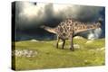 Stretched Canvas Print