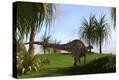 Stretched Canvas Print