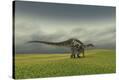 Stretched Canvas Print