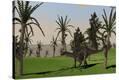 Stretched Canvas Print