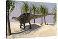 Stretched Canvas Print