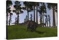 Stretched Canvas Print