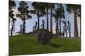 Premium Giclee Print