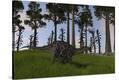 Stretched Canvas Print