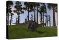 Stretched Canvas Print