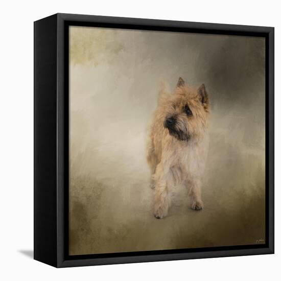 Did I Hear You Say Walk Cairn Terrier-Jai Johnson-Framed Premier Image Canvas