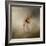 Did I Hear You Say Walk Cairn Terrier-Jai Johnson-Framed Giclee Print