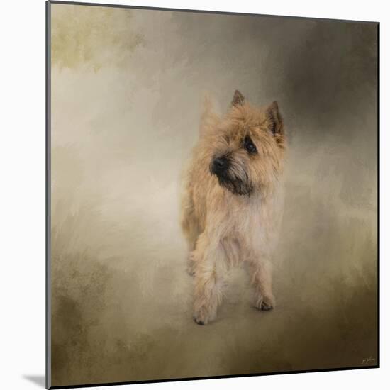 Did I Hear You Say Walk Cairn Terrier-Jai Johnson-Mounted Giclee Print