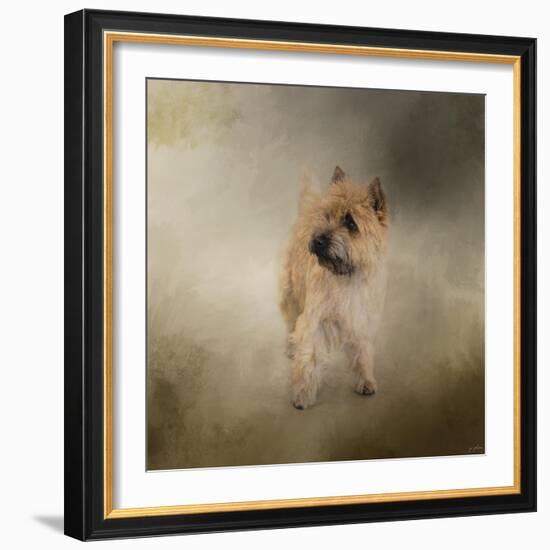 Did I Hear You Say Walk Cairn Terrier-Jai Johnson-Framed Giclee Print