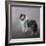 Did You Call Me Blue Merle Shetland Sheepdog-Jai Johnson-Framed Giclee Print